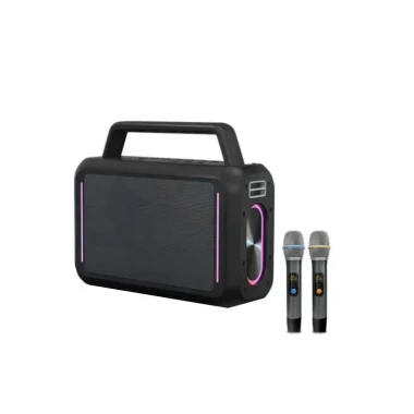 اسپیکر فیلیپس مدل SD228 به همراه ۲ عدد میکروفون